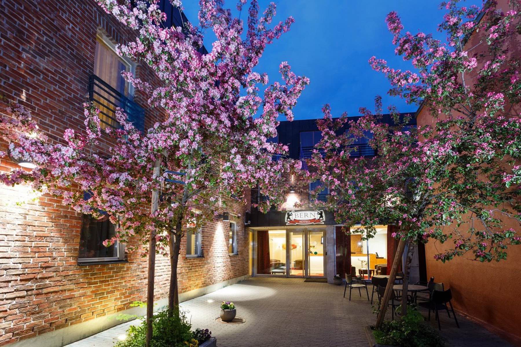 The courtyard of Hotel Bern in blossom at blue hour